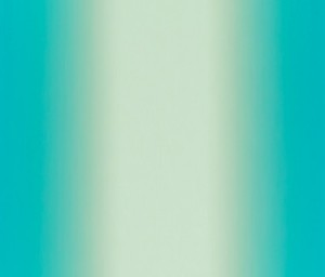 270110