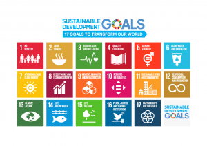 sdg_logo_en_2